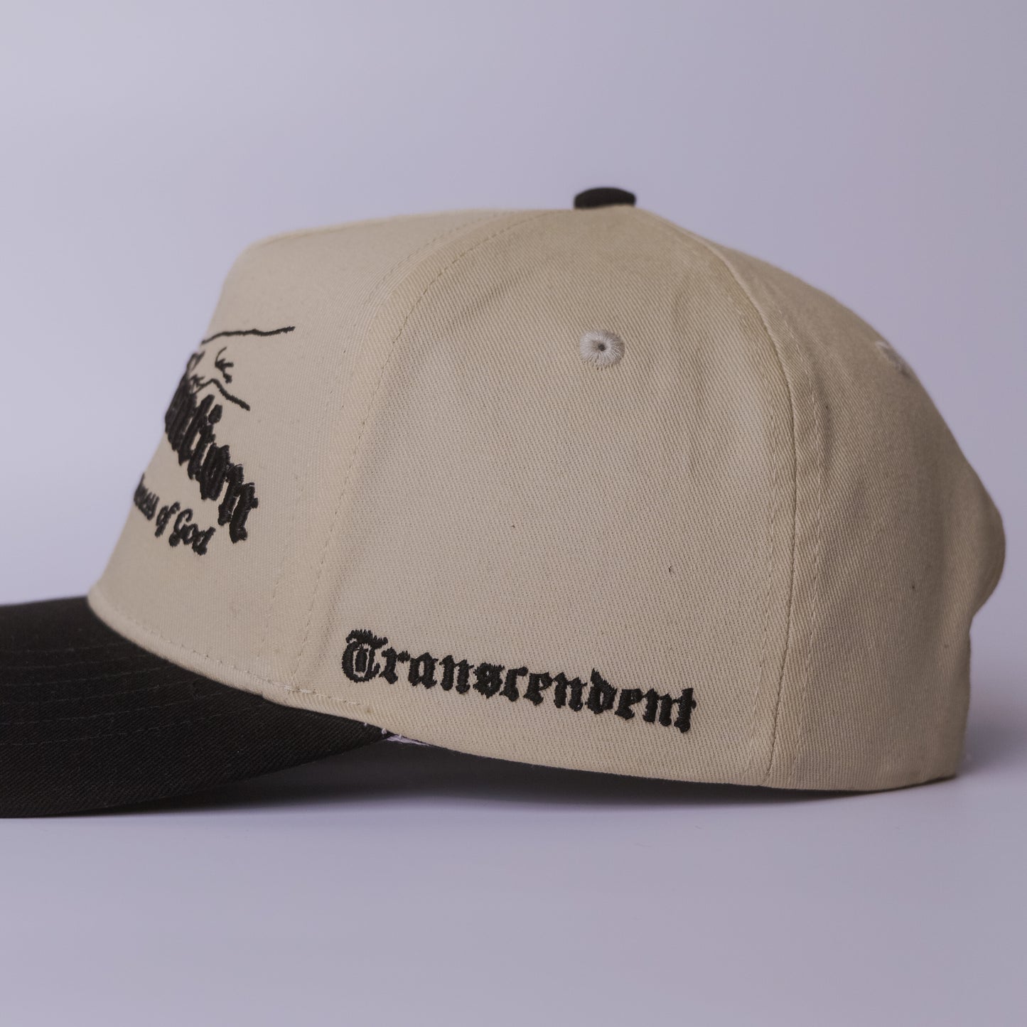 God’s Creation SnapBack – Biege/Black