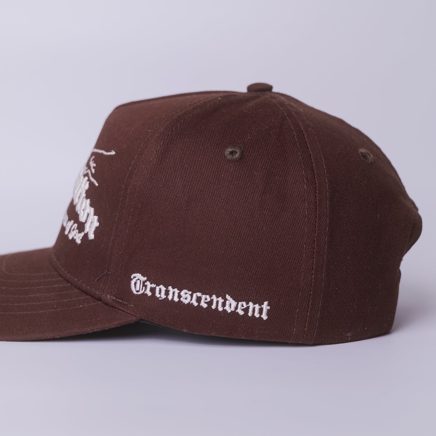 God’s Creation SnapBack – Brown